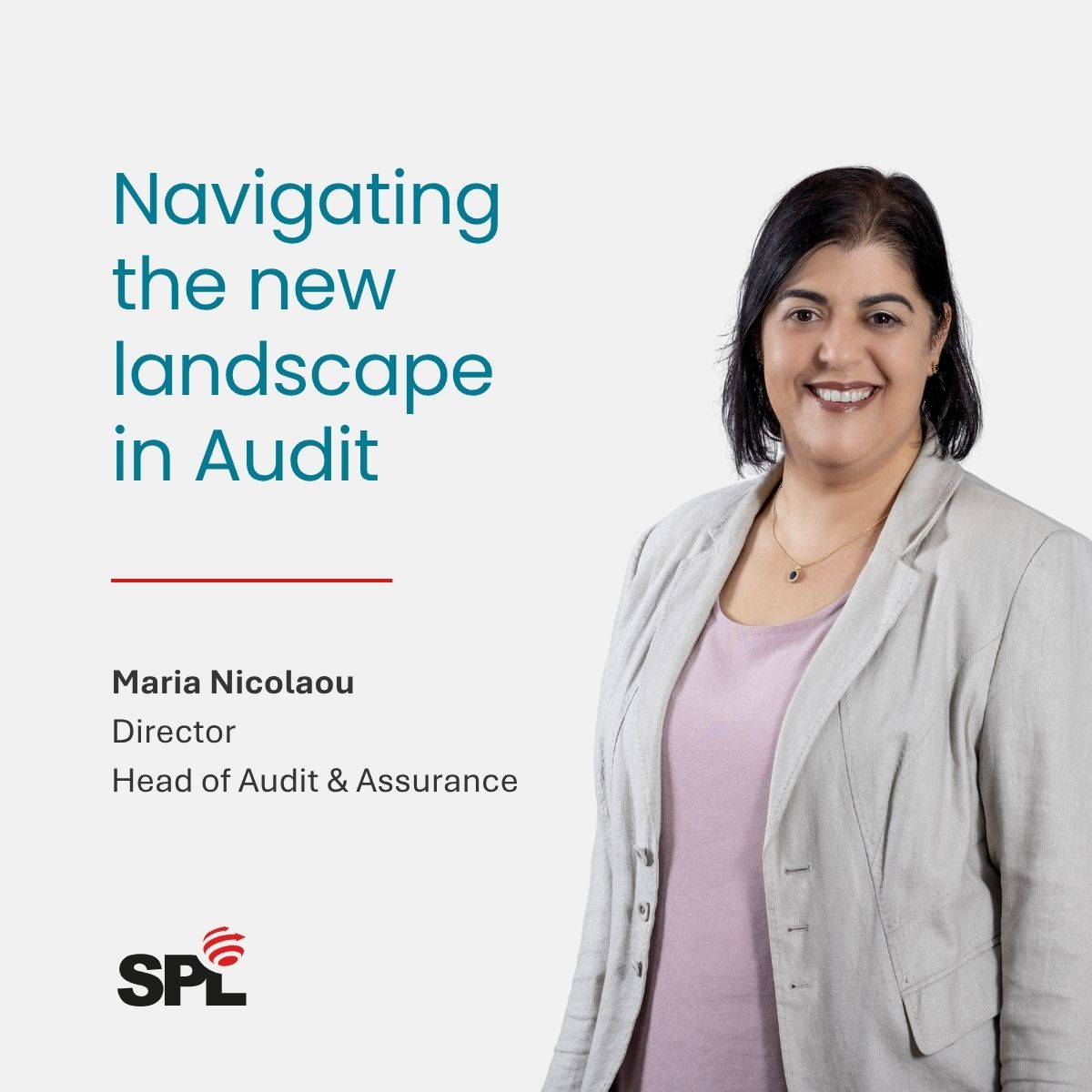 Navigating the New Landscape in Audit