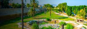 Tree Planting initiative by SPL and the Municipality of Nicosia