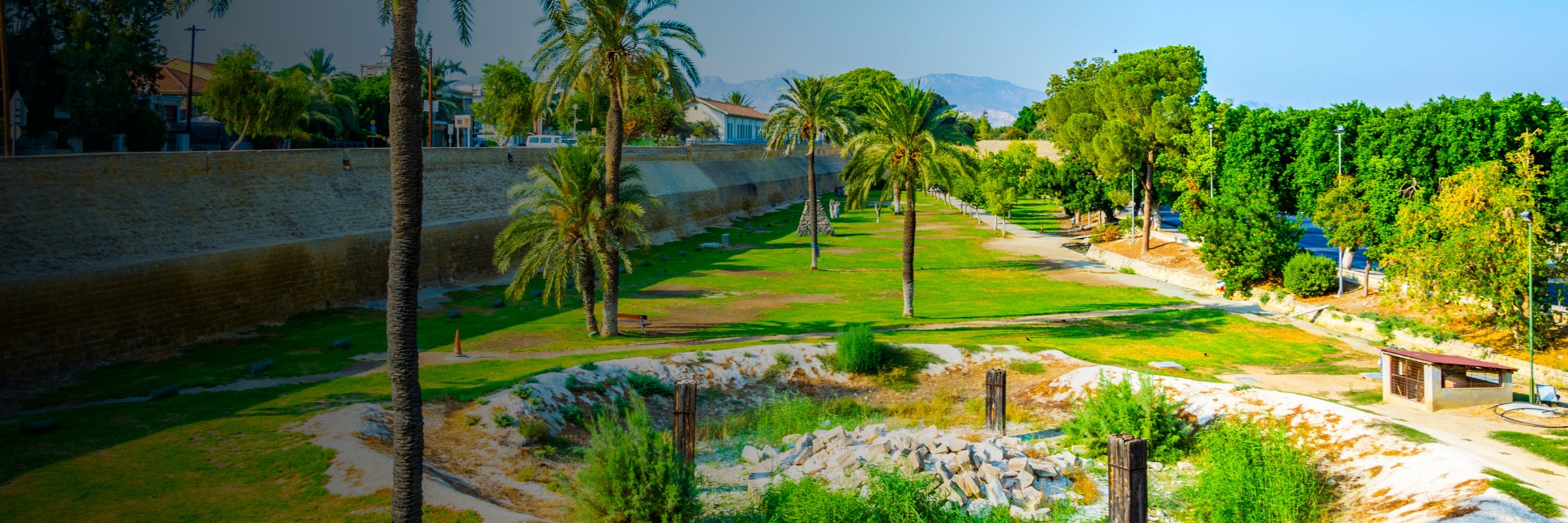 Tree Planting initiative by SPL and the Municipality of Nicosia